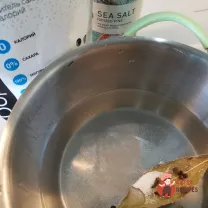Step 6