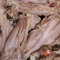 Step 5