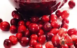 Брусниця В Сиропі