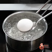 Step 5