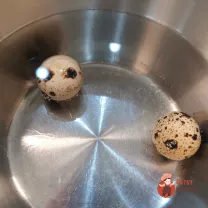 Step 2