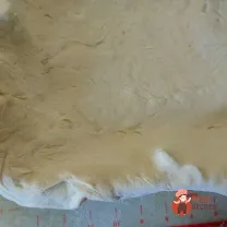 Step 12