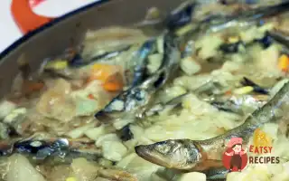 Щі Зі Снетків