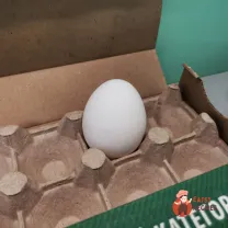 Step 1