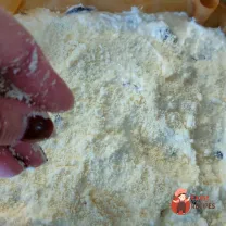 Step 23