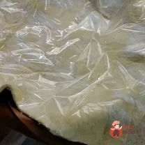 Step 13