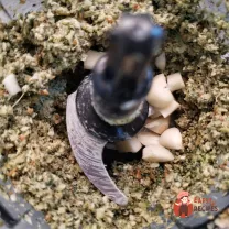 Step 10