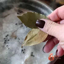 Step 7