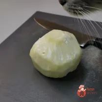 Step 1