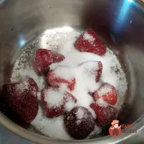 Step 15