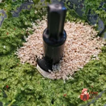 Step 9