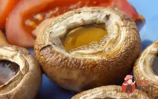 Гриби На Кеці