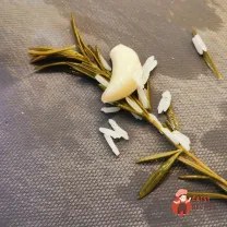 Step 9