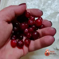 Step 13