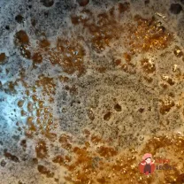 Step 9
