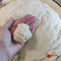 Step 15