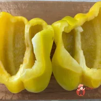 Step 10