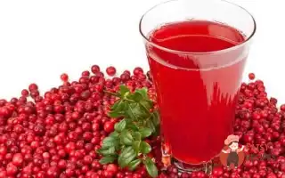 Домашній Журавлинний Морс