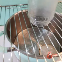 Step 11