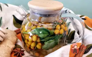 Лимонад Обліпихи