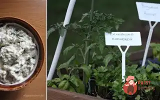 Гарда