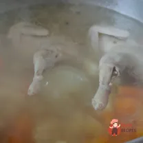 Step 15