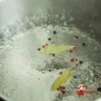 Step 11