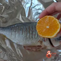 Step 6