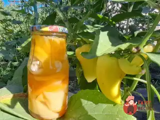 Солодкий перець на зиму