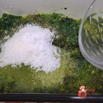 Step 10