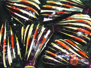 Баклажани, запечені з сиром фета та помідорами.