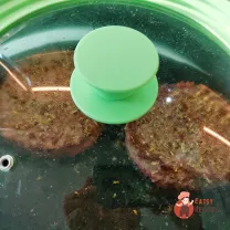 Step 9