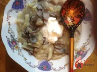 Солянка грибна
