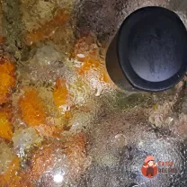 Step 10