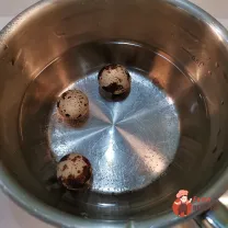 Step 2