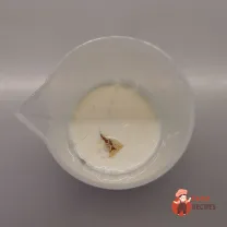 Step 1