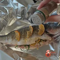 Step 8