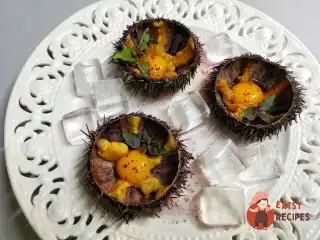 Морські їжаки