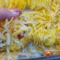 Step 10