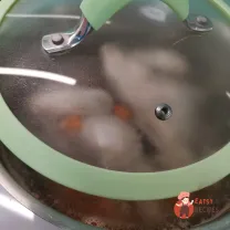 Step 9