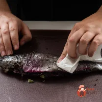 Step 11