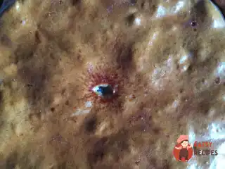 Волзький курник із рибою