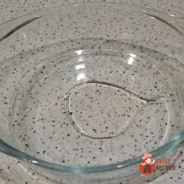 Step 12