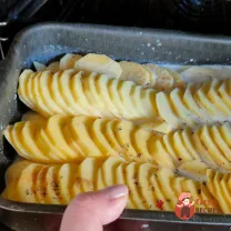 Step 8