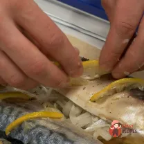 Step 6