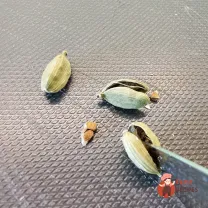 Step 9