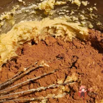 Step 5