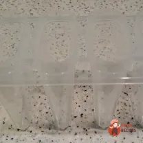 Step 9