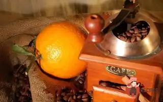 Настоянка 44