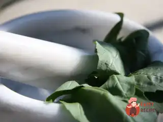 Лігурійський соус песто